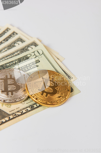 Image of Bitcoin coin with dollars