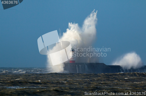 Image of Wave and Gull Over Lighthouse