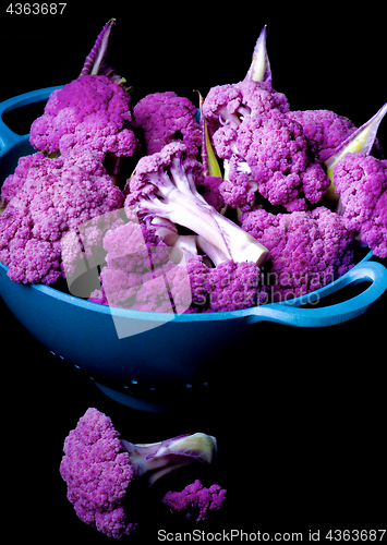 Image of Fresh Purple Cauliflower