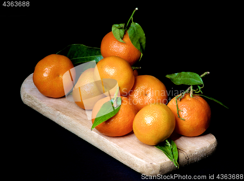 Image of Ripe Tangerines with Leafs