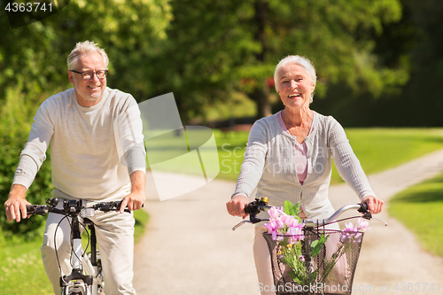 Image of happy senior couple riding bicycles at summer park