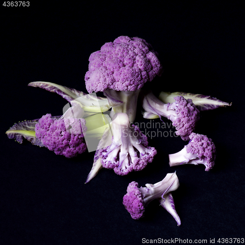 Image of Fresh Purple Cauliflower