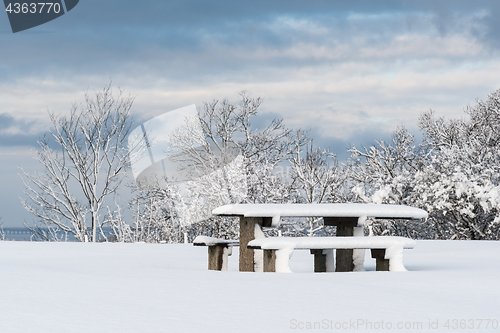 Image of Snow covered resting place