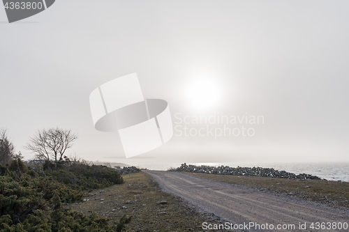 Image of Misty coastal countryside view