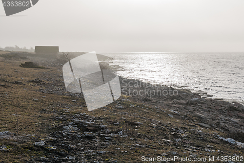 Image of Misty shoreline