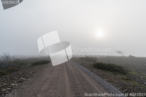 Image of Landscape with a misty gravel road