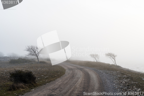 Image of Misty spooky country road