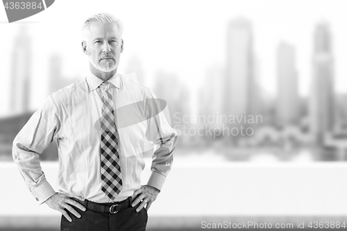 Image of Senior businessman in front of the big city