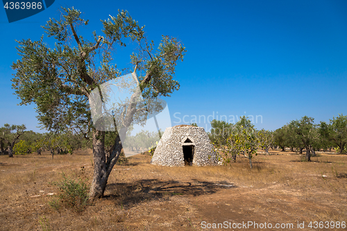 Image of Puglia Region, Italy. Traditional warehouse made of stone