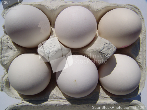 Image of Eggs