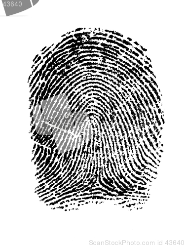 Image of an fingerprint