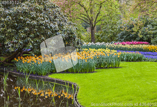 Image of Flowers Garden