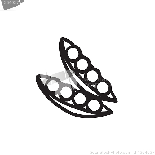 Image of Peapod sketch icon.