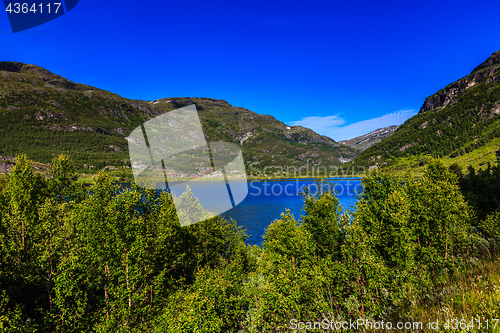 Image of Beautiful natural landscape on a lovely summer day west in Norwa