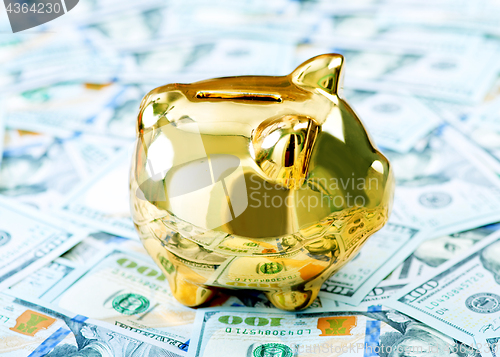 Image of Piggy bank and money