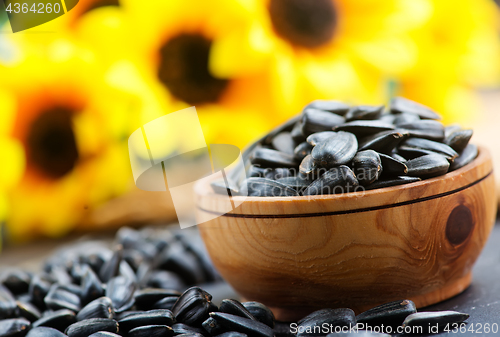 Image of sunflower seed