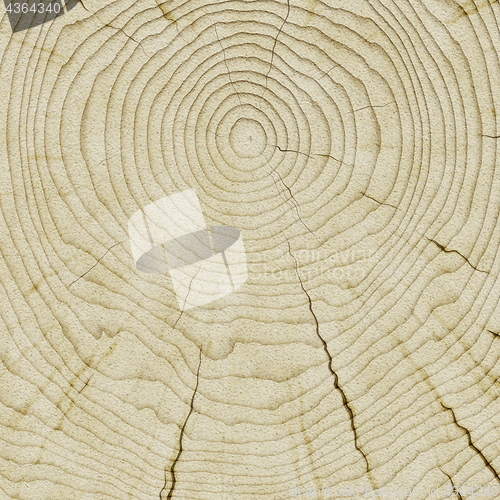 Image of wooden background texture