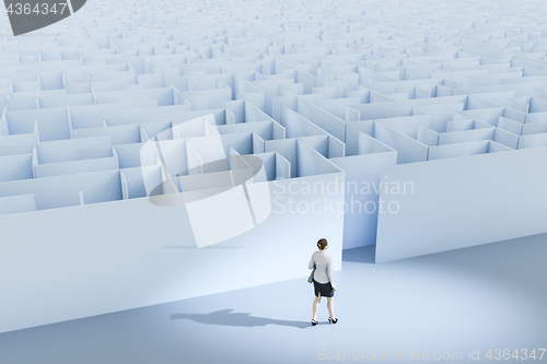 Image of a business woman at the maze