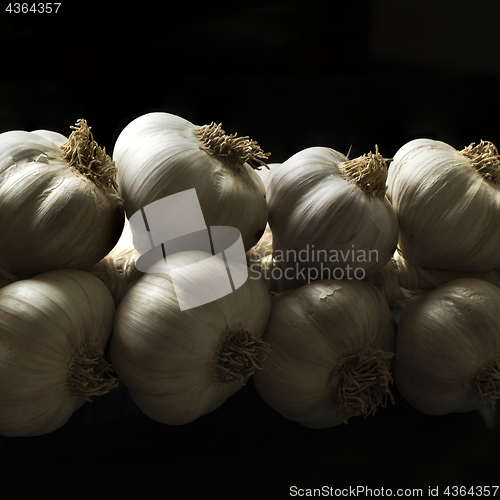 Image of A string of garlic