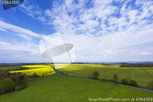 Image of Spring landscape with fields, meadows and a road
