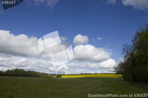 Image of Farm land