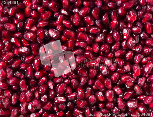 Image of Close up of pomegranate seeds