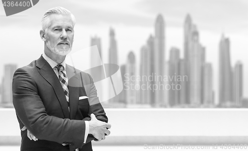 Image of Senior businessman in front of the big city