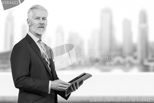 Image of Senior businessman in front of the big city