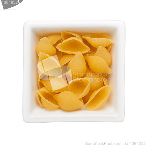 Image of Conchiglie pasta