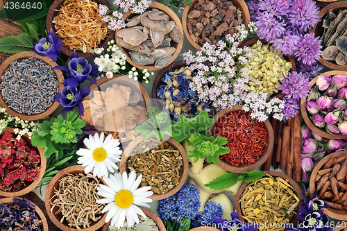 Image of Herbal Medicine with Herbs and Flowers