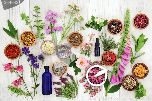 Image of Natural Herbal Medicine  