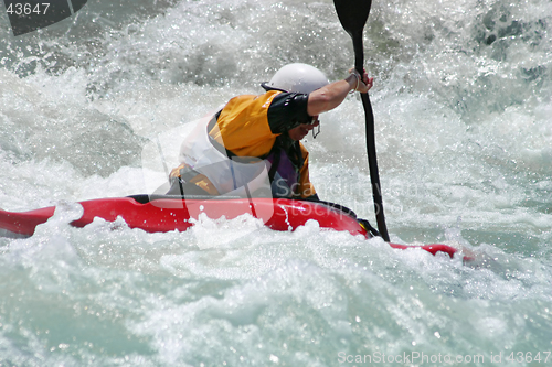 Image of Battling the Rapids