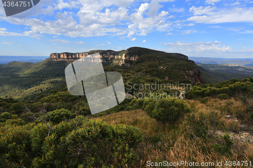 Image of Views to Narrowneck Plateau Blue Mountains