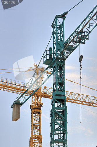 Image of Cranes