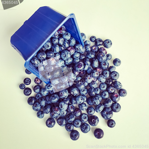 Image of Box of ripe blueberries