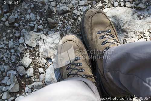 Image of Brown hiking shoes