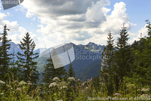 Image of Panorama view from Bavarian Alps, Germany