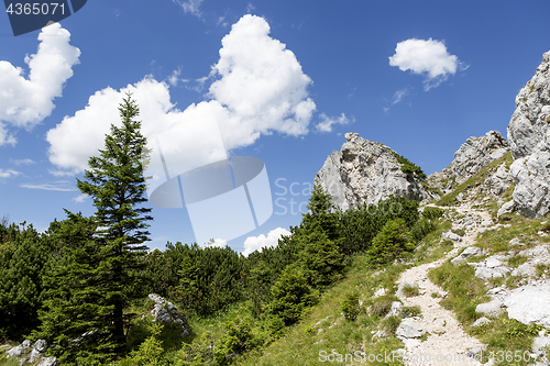 Image of Hiking in Bavarian Alps, Germany