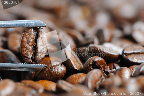 Image of roasted coffee beans macro