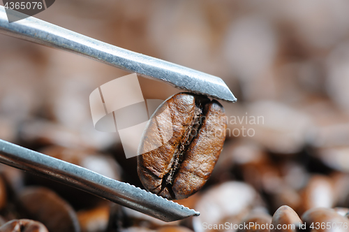 Image of roasted coffee beans macro
