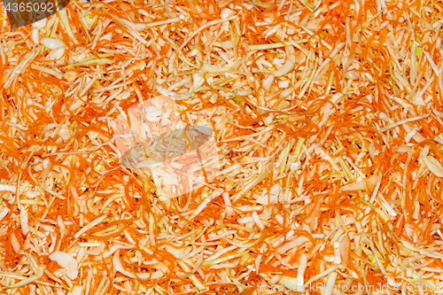 Image of Shredded cabbage and carrots background