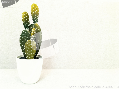 Image of Artificial cactus in white ceramic pot