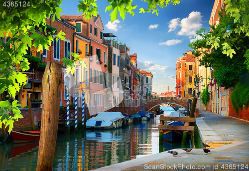 Image of Morning in Venice