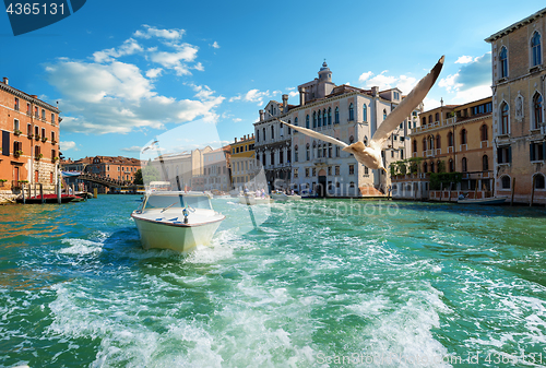 Image of Boats in Venice