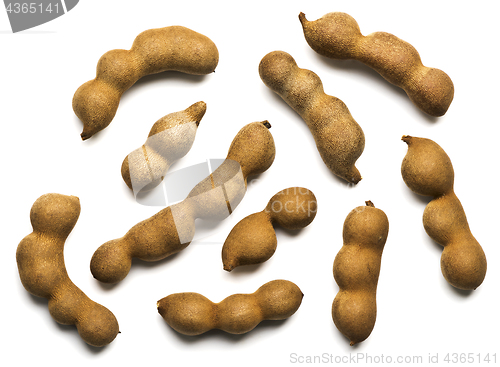 Image of Raw tamarind fruits