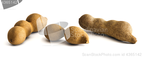 Image of Three raw tamarind fruits