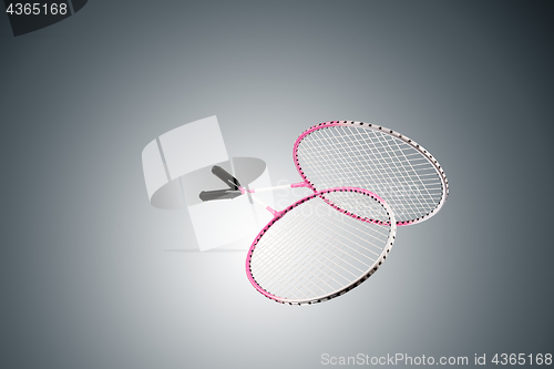 Image of Color photo of two rackets for badminton