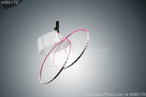 Image of Color photo of two rackets for badminton