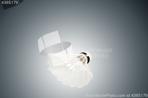 Image of Badminton with gray background