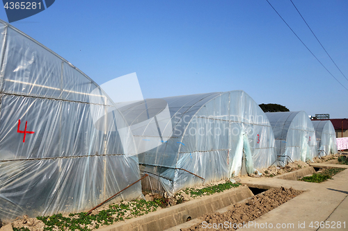 Image of Large greenhouse for plants in the autumn